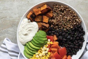 Vegetarian idmançıların qidalanması